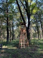 Jagdkanzel Dübener Heide, Hochsitz, Vollholz, langlebig, stabil Sachsen-Anhalt - Muldestausee Vorschau