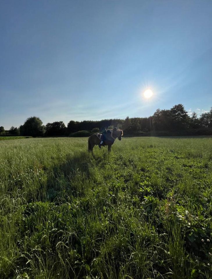 Reitbeteiligung in Achstetten