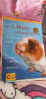 Meerschweinchen Buch mit Poster Berlin - Hellersdorf Vorschau