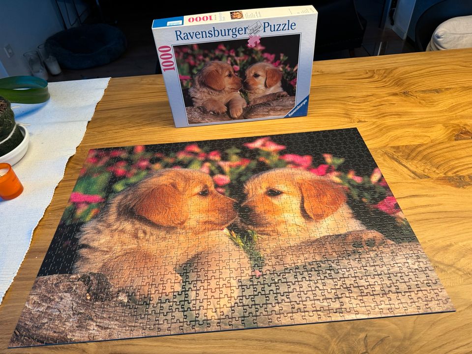 3* 1000 Ravensburger Puzzle Spiel Hund Pferd New York in Hirschaid