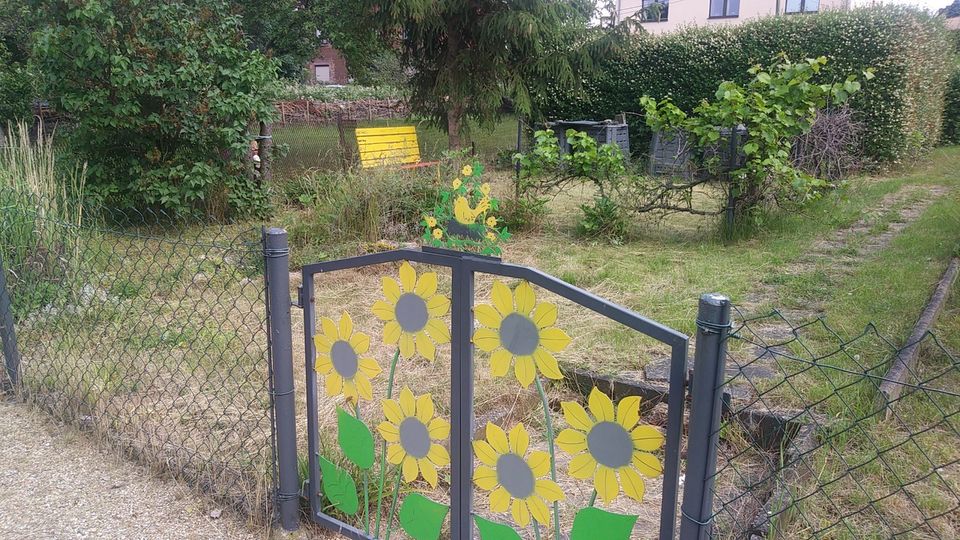 kleingarten in Borau in SachsenAnhalt Weißenfels Grundstück