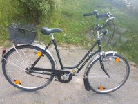 Holländisches Fahrrad 28 Zoll 3 gänge Herzogtum Lauenburg - Geesthacht Vorschau