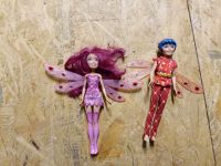 Mia and me Barbie Puppen Nordrhein-Westfalen - Hellenthal Vorschau