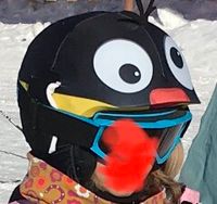 Kinder Skihelm Überzieher Pinguin(73) Niedersachsen - Evessen Vorschau