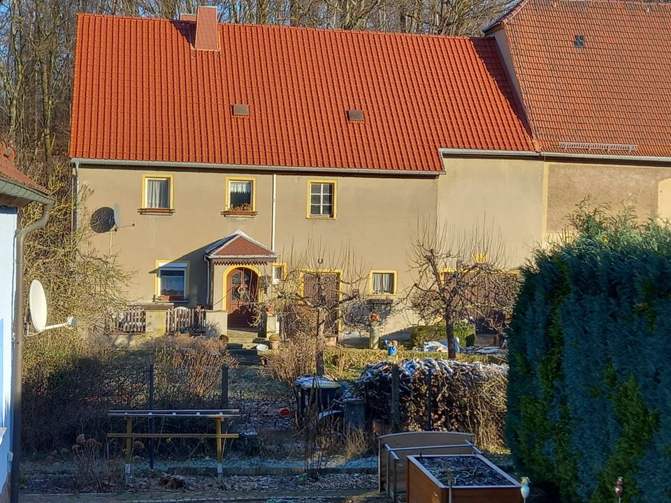 Einfamilienhaus im Dornröschen Schlaf in Kriebstein