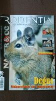 Rodentia Nager und Co. Nr. 79 - Degus Ricklingen - Wettbergen Vorschau