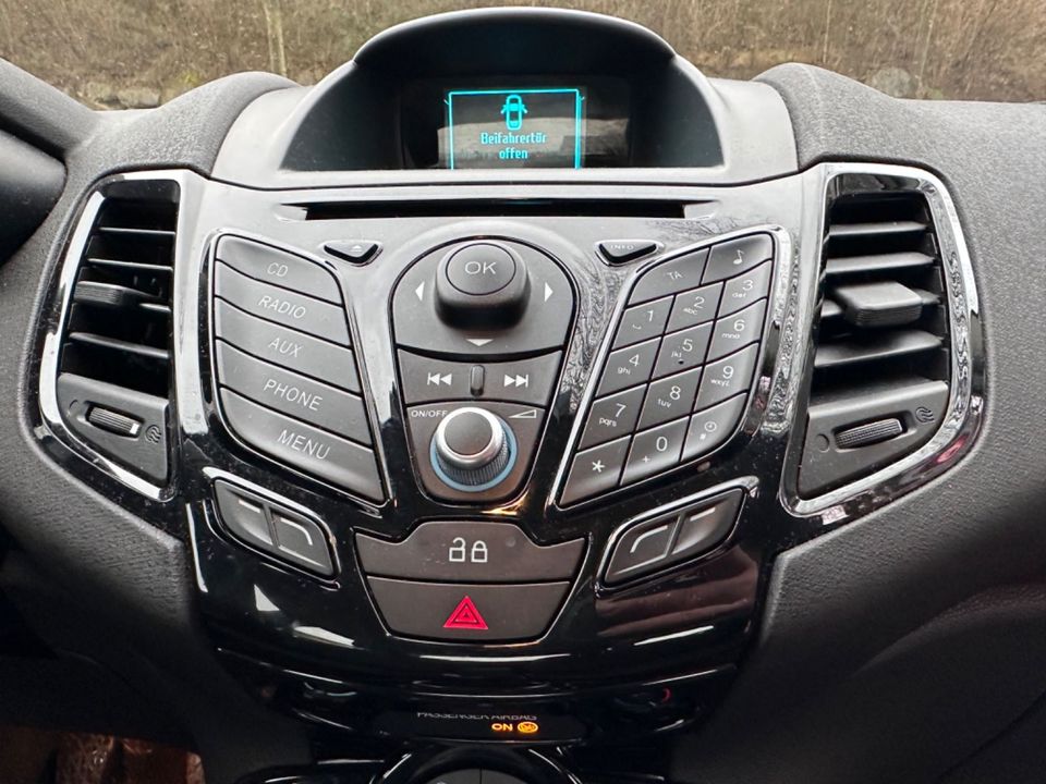 Ford Fiesta 1.0 Ecoboost Titanium*5-Trg*Klima*Sitzh* in Herrenberg