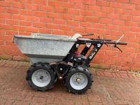 Weber Muck Truck Max 2 Minidumper Motor Schubkarre Honda Galabau Schleswig-Holstein - Ahrensburg Vorschau