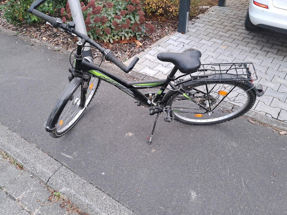 Kinderfahrrad  Pegasus in Steinfeld a. Main