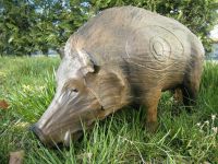 3D Ziel BogensportTier Wildschwein Rheinland-Pfalz - Dümpelfeld-Lückenbach Vorschau