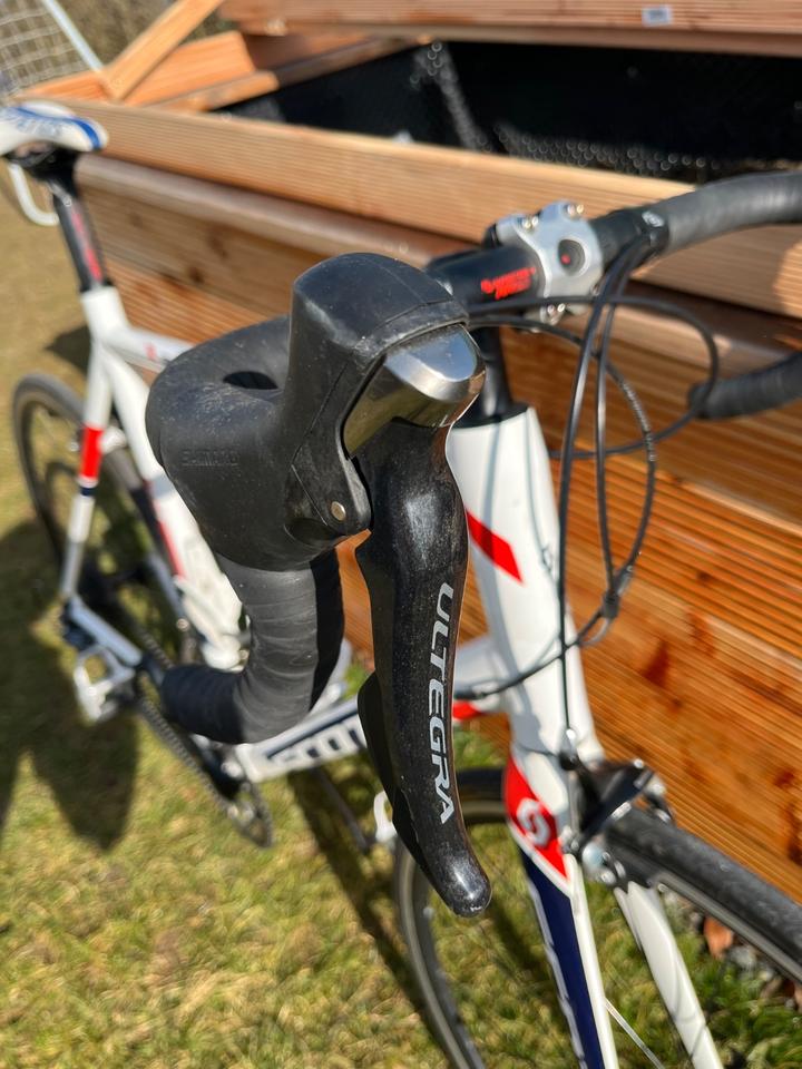 Rennrad Scott Speedster, Ultegra Ausstattung, wenig gefahen in Wettstetten