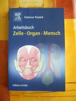 Arbeitsbuch - Zelle-Organ-Mensch Baden-Württemberg - Immenstaad Vorschau