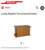 Lucky Reptile Terrarium Schrank Ahorn 100x50 cm Bayern - Babenhausen Vorschau