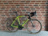 Trek Boone Gravel-/ Cyclocross Fahrrad Disc Carbon 56 IsoSpeed Niedersachsen - Gifhorn Vorschau
