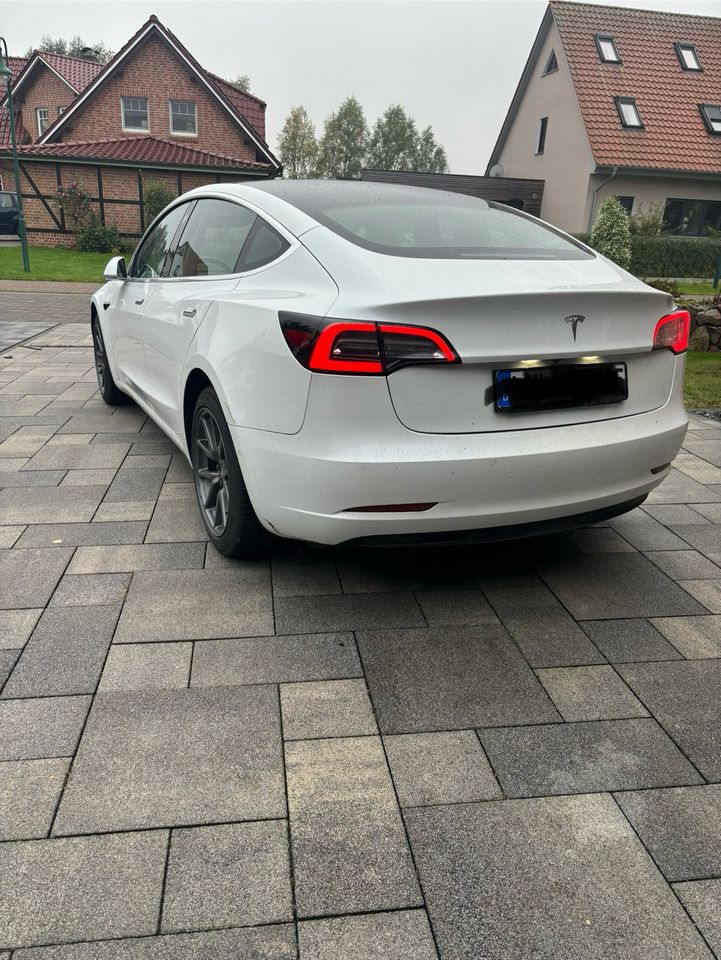 Tesla Model 3 2020 SR+ in Zarrentin