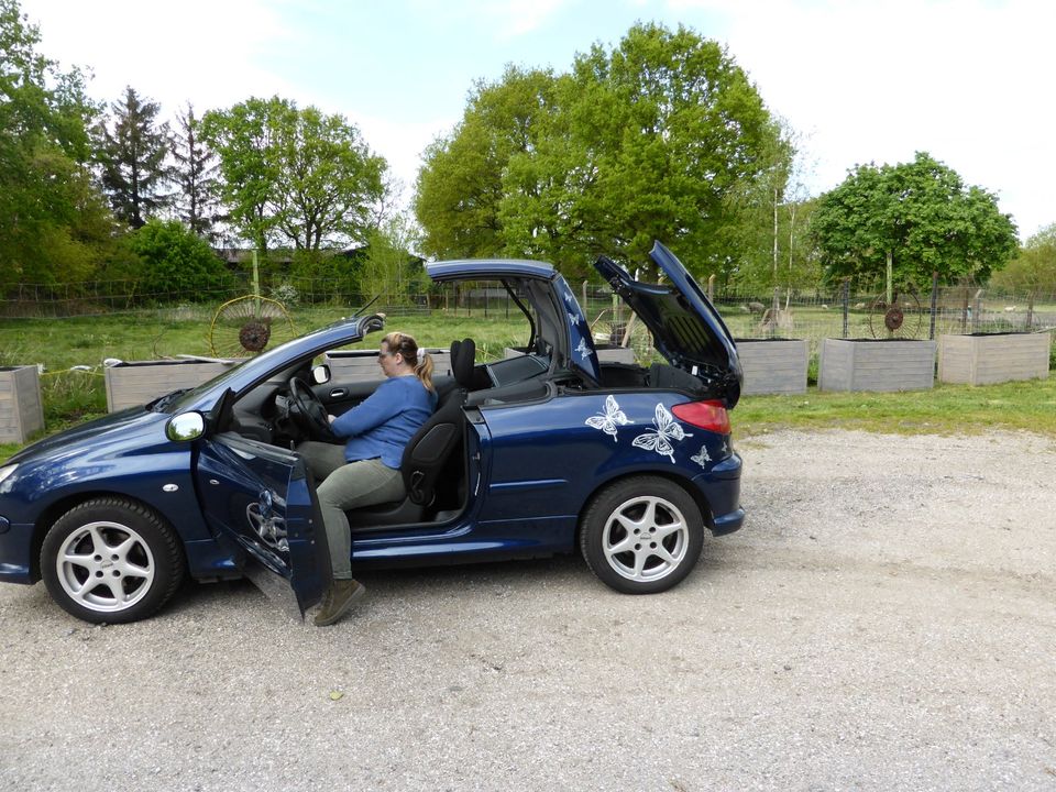 PEUGEOT 206 CC  1,6 TD  80 KW  TOP Zustand in Rehm-Flehde-Bargen