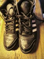 adidas Forum 84 Mid ADV x Heitor – Größe 40 – Top Zustand Nordrhein-Westfalen - Bad Honnef Vorschau