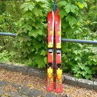 Tecnopro Ski Kinder Kinderski 100 cm Thüringen - Meiningen Vorschau