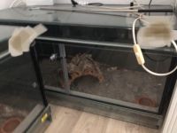 3x Terrarium Glas mit Lampen Fassung Nordrhein-Westfalen - Kierspe Vorschau