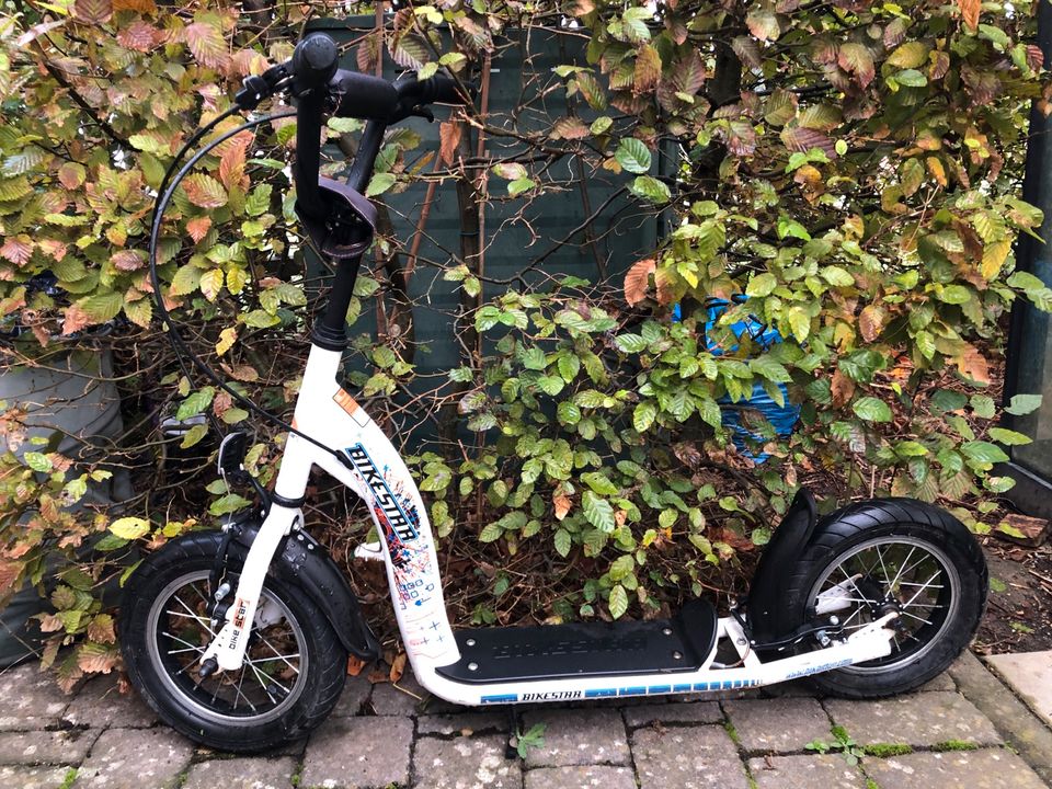 Bikestar Roller bis 50 kg in Unkel