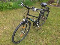 Fahrrad 28" Hessen - Trebur Vorschau