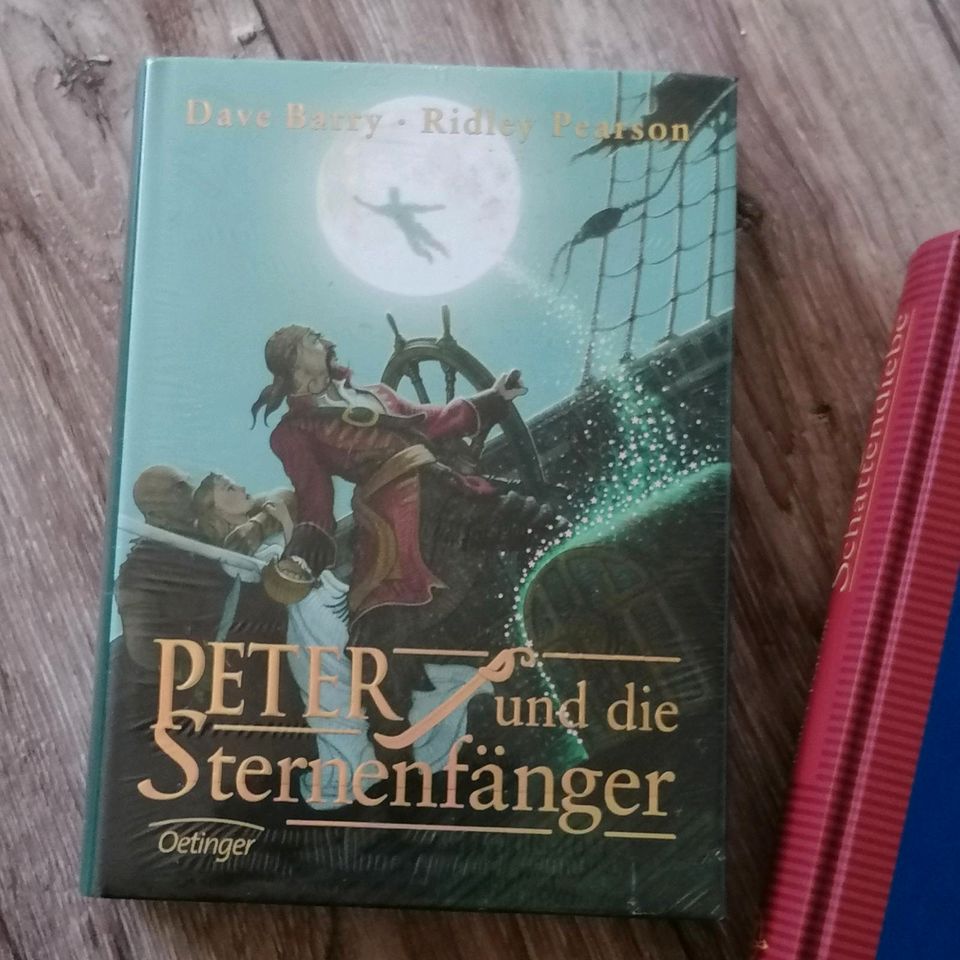 Fantasy, Jugend Bücher, Peter und die Sternenfaenger, 2 Hardcover in Ostfildern