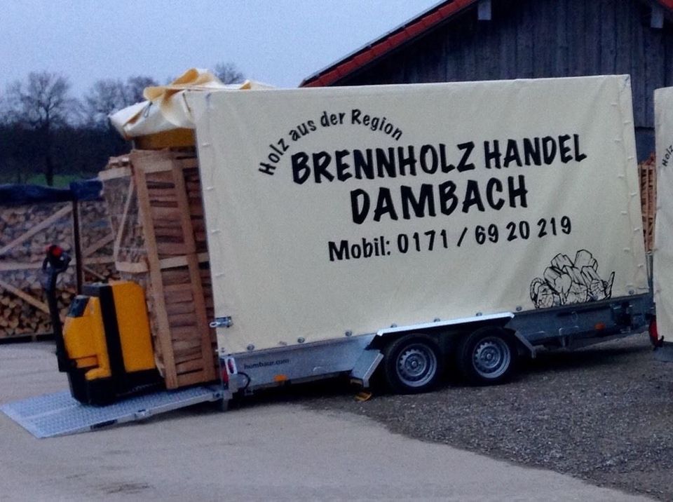 ‼️BEVORRATUNGSAKTION‼️Buche STER vorgelagert | Brennholz in Baisweil