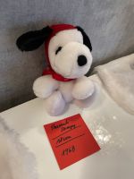 Jeweils 15€! Snoopy Stofftiere! Peanuts! Nordrhein-Westfalen - Gronau (Westfalen) Vorschau