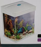 Mini-Aquarium 7 l Komplettset Thüringen - Uthleben Vorschau