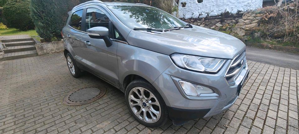 Ford Ecosport in Trendelburg