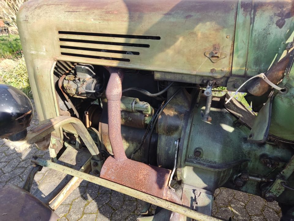 Fendt Dieselross F17 W in Kinheim