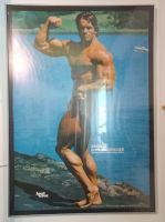 Poster Arnold Schwarzenegger, Alurahmen, Sport Revue Bayern - Burglengenfeld Vorschau