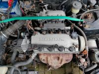 Honda crx del sol Motor D16Y8 Nordrhein-Westfalen - Espelkamp Vorschau