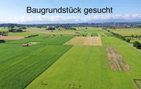 Haus oder Baugrundstück in Lemförde gesucht Niedersachsen - Lemförde Vorschau