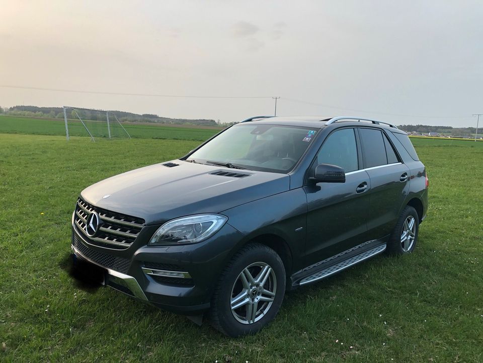 Mercedes Benz ML 350 in Wolfegg