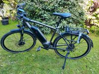 Trekking E-Bike Prophete "Entdecker" e9.7 28" Hessen - Gelnhausen Vorschau