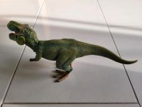 Schleich Tyrannosaurus Rex 14525 Bonn - Auerberg Vorschau