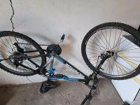 Mountainbike McKenzie 26" Brandenburg - Eberswalde Vorschau