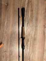 Daiwa powermesh casting 1,98m 60-120g Dresden - Cossebaude Vorschau