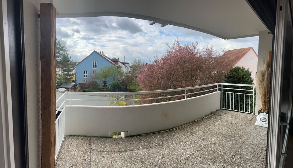 Sanierte Wohnung mit Style in Ilvesheim