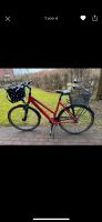 Stinger Damenfahrrad Kiel - Melsdorf Vorschau