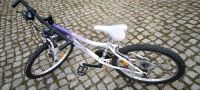 Kinderfahrrad, Fahrrad, Mountainbike, 24 Zoll , Bergsteiger Sachsen - Stollberg Vorschau