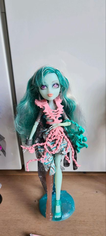 Monster High normal und zum Selbstgestalten in Sankt Augustin