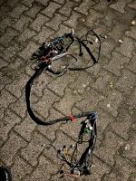 Original Aprilia sr 50 Ditech Kabelbaum Nordrhein-Westfalen - Ibbenbüren Vorschau