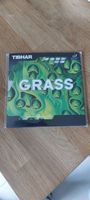 Tibhar Grass / DEF Version / Tischtennisbelag / Lange Noppen Rheinland-Pfalz - Laumersheim Vorschau