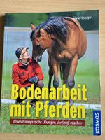 Sigrid Schöpe - Bodenarbeit mit Pferden Rheinland-Pfalz - Nieder-Olm Vorschau