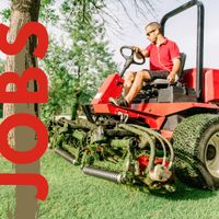 Helfer, Grünflächenpfleger, Greenkeeper (m/w/d) in Dackenheim Rheinland-Pfalz - Dackenheim Vorschau