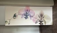 Ikea Orchideen Bild Bayern - Kümmersbruck Vorschau