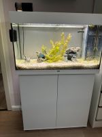 Juwel Aquarium Fische Unterschrank 125 L Bad Doberan - Landkreis - Kühlungsborn Vorschau
