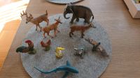 Schleich Konvolut Tiere 10x TOP! Frankfurt am Main - Nordend Vorschau